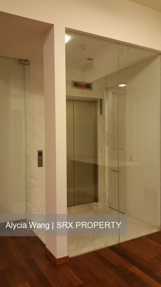 Newton One (D11), Condominium #177919792